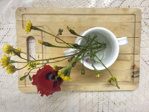 IMG_1917.JPG IMG_1917.JPG