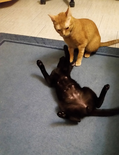 endiabrados.jpg endiabrados.jpg