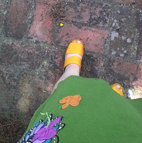 IMG_20180624_132611_1CS.jpg IMG_20180624_132611_1CS.jpg