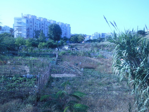 Foto original de D.A.P.L. Junho 2015.jpg