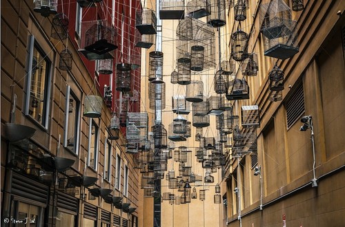 birdcages3.jpg birdcages3.jpg