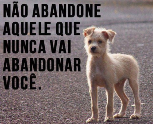 abandono abandono