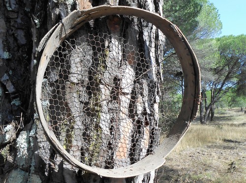 Foto 2.JPG Foto 2.JPG