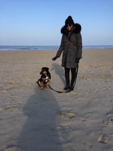 IMG-20180114-WA0008.jpg IMG-20180114-WA0008.jpg