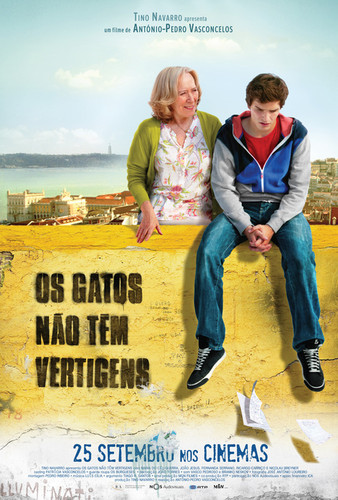 os gatos nao têm vertigens.jpg