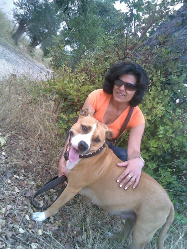 kaya 2 (1).jpg kaya 2 (1).jpg