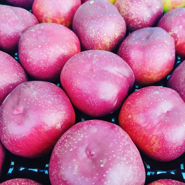 502150145_18480983956066958_1704063728156261452_n.