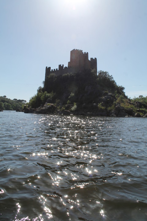 IMG_4825.JPG IMG_4825.JPG