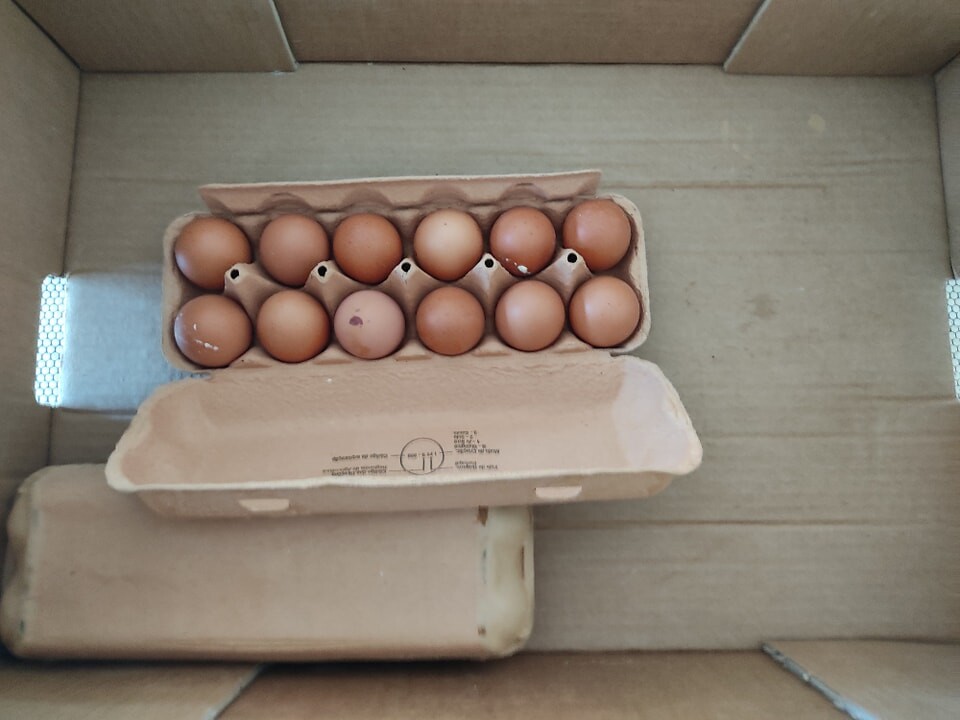 301852923_2394280050711742_4647886292372775480_n.j