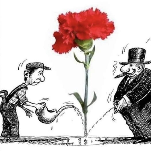 343094030_1230856634234326_4969885497966002806_n.j