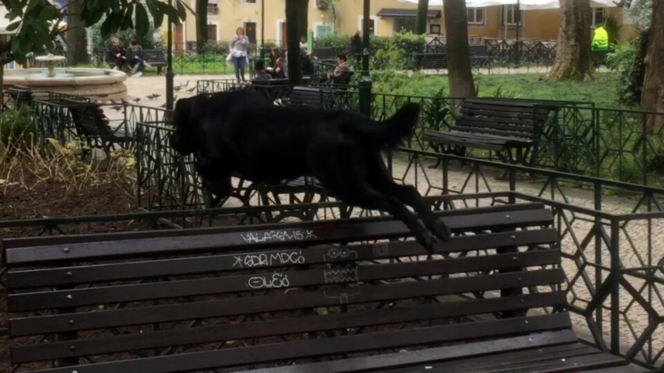 image-w1280 (1).webp