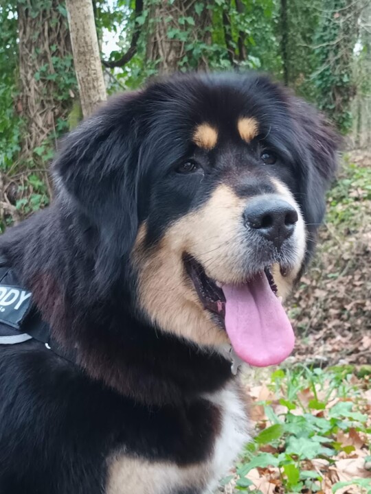 Não me canso disto caminhada4.jpg