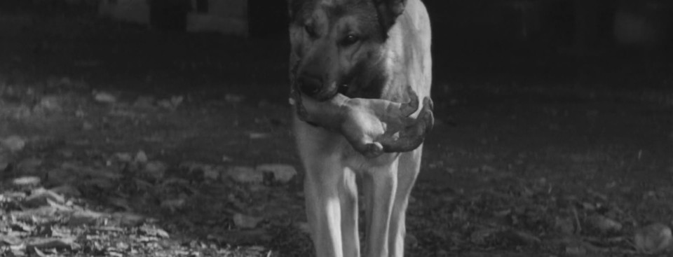 119932856_10217774006718766_2548866509650933177_o.