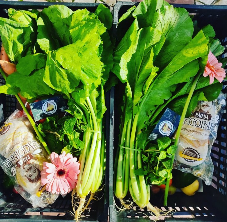 587580641_18513835687066958_7827040839926194785_n.