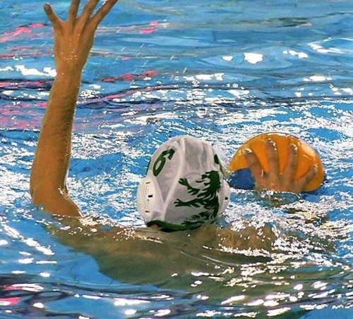 47234945_1664608673641003_1383958623071240192_n.jp