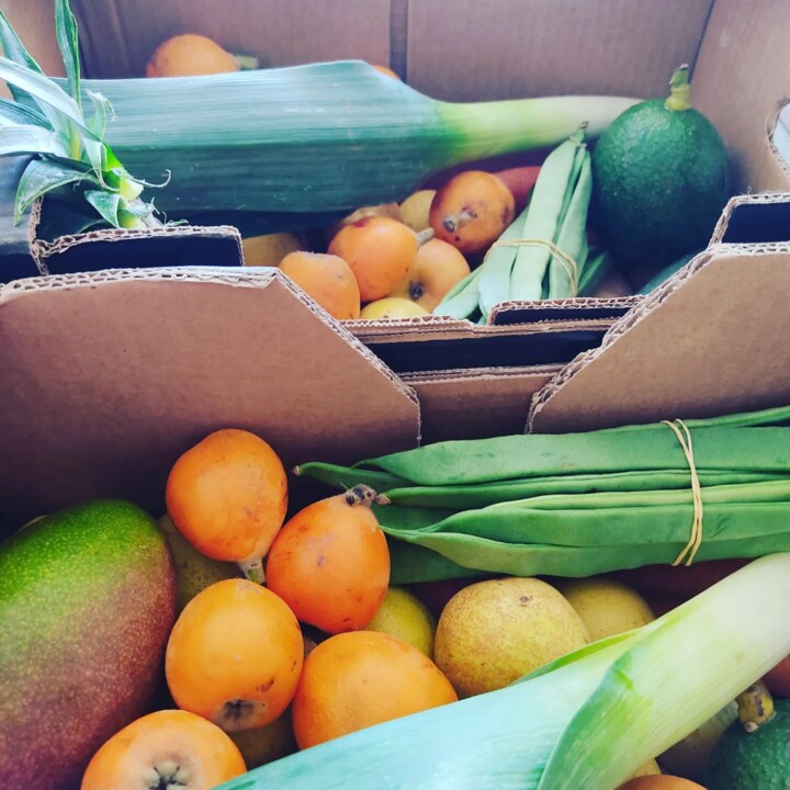 345444519_274068971627227_5302570533984848762_n.jp