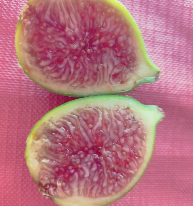 537536825_18495349996066958_541307650858452040_n.j