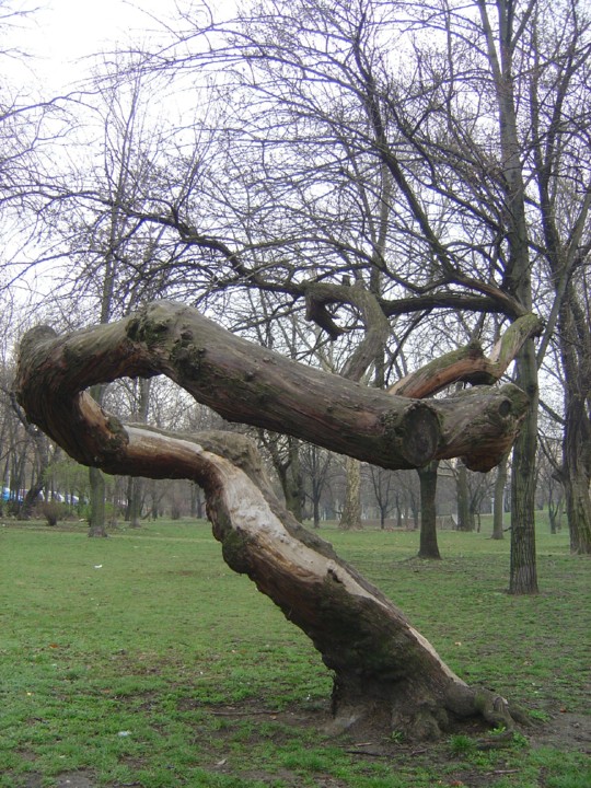 BUDAPESTE_as curvas do tempo.jpg BUDAPESTE_as curvas do tempo.jpg