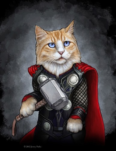 thorcat.jpg