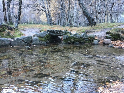 Photo 28-11-15, 15 53 40.jpg