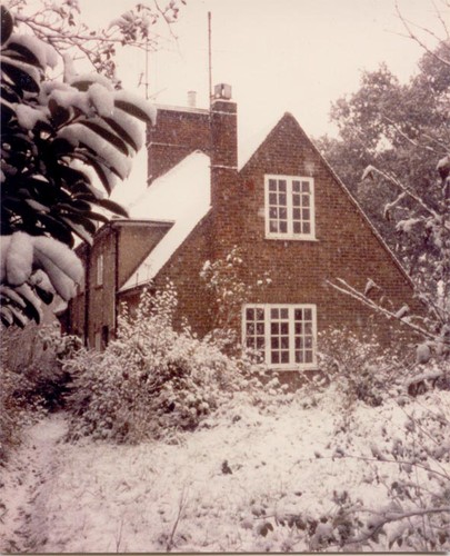 avins farm