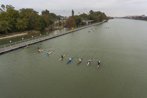 DSC02448.jpg DSC02448.jpg