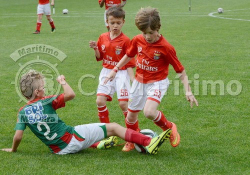 11118990_10153676330737656_8818935230206046378_o.j