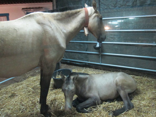 IMG_6325.JPG IMG_6325.JPG