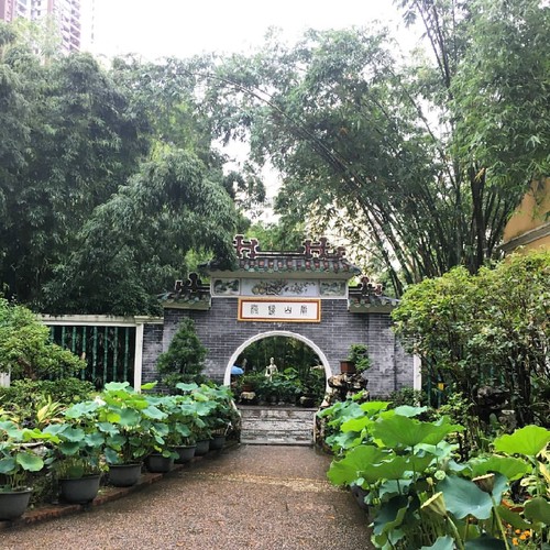 19144165_10155299827804303_8277772018340354990_o.j