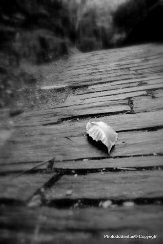 IMG_8055_ (2)_ (3)_tonemappedas.jpg