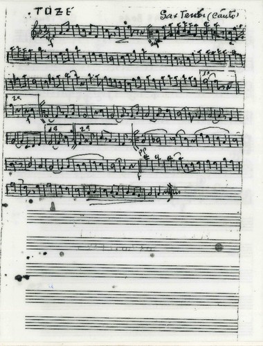 TÓZÉ.jpg TÓZÉ.jpg