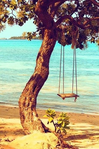 995245_491718530943841_121747790_n.jpg 995245_491718530943841_121747790_n.jpg