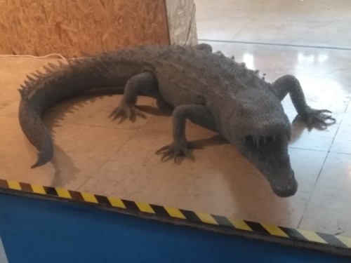 IMG_20180627_184914.jpg IMG_20180627_184914.jpg