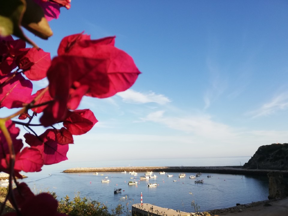 97583105_3745997508760617_8864568437427404800_o.jp