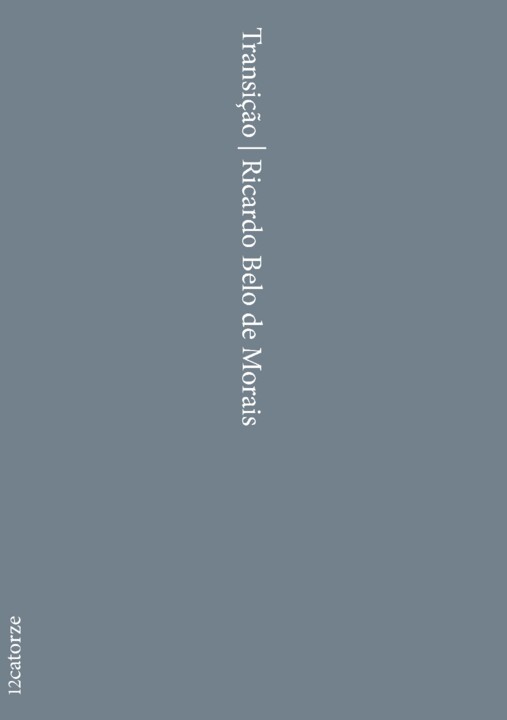 9789899213371_Transição-Capa (1).jpg