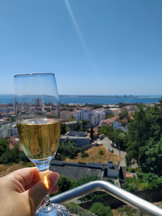 IMG_20200802_121841.jpg IMG_20200802_121841.jpg