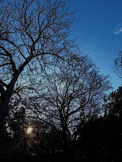 Dia de Natal (1).jpg