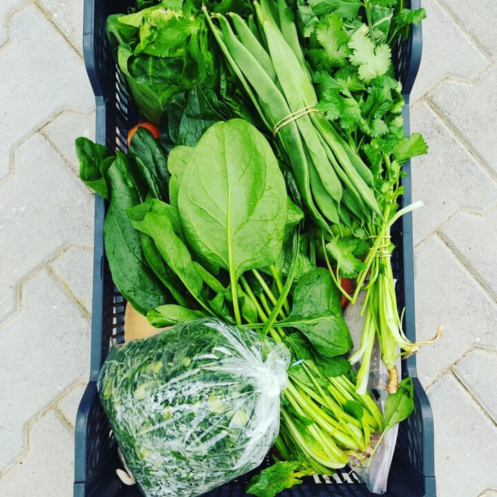 434175543_800583075432438_9179013128728498347_n.jp