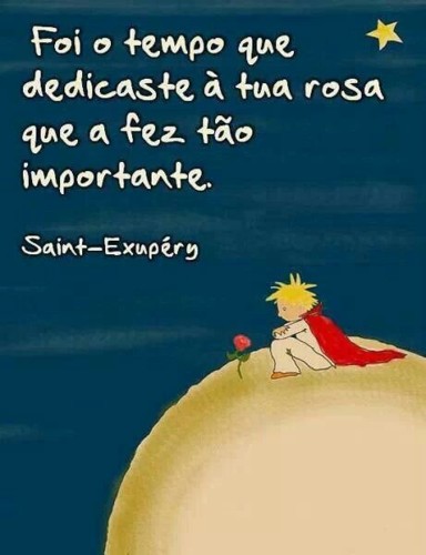 tempo que dedicaste à rosa.jpg