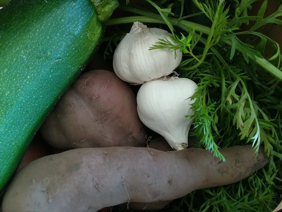 71175470_1478400112299745_3598694045813047296_n.jp 71175470_1478400112299745_3598694045813047296_n.jp