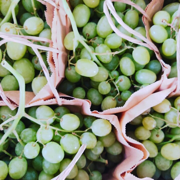 543568080_18497653372066958_8968087252180514795_n.