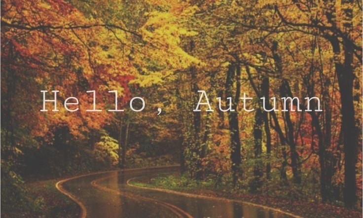 autumn.jpeg