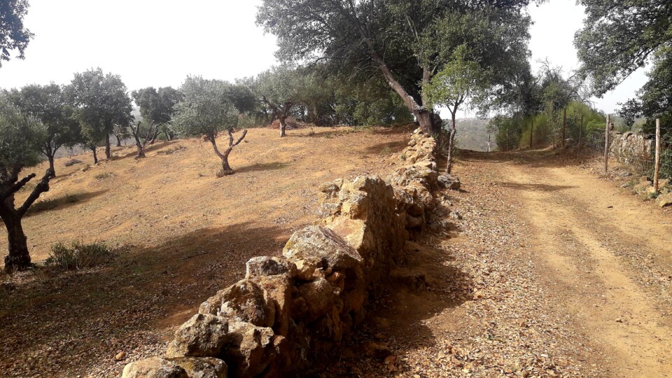 ESTRADAO DA RESERVA.jpg