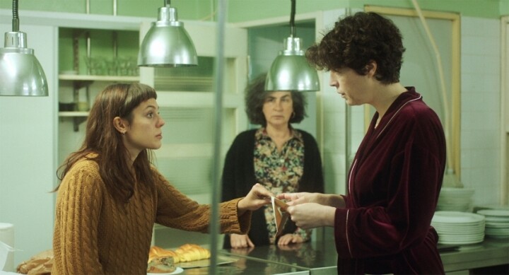 descarregar (8).jfif