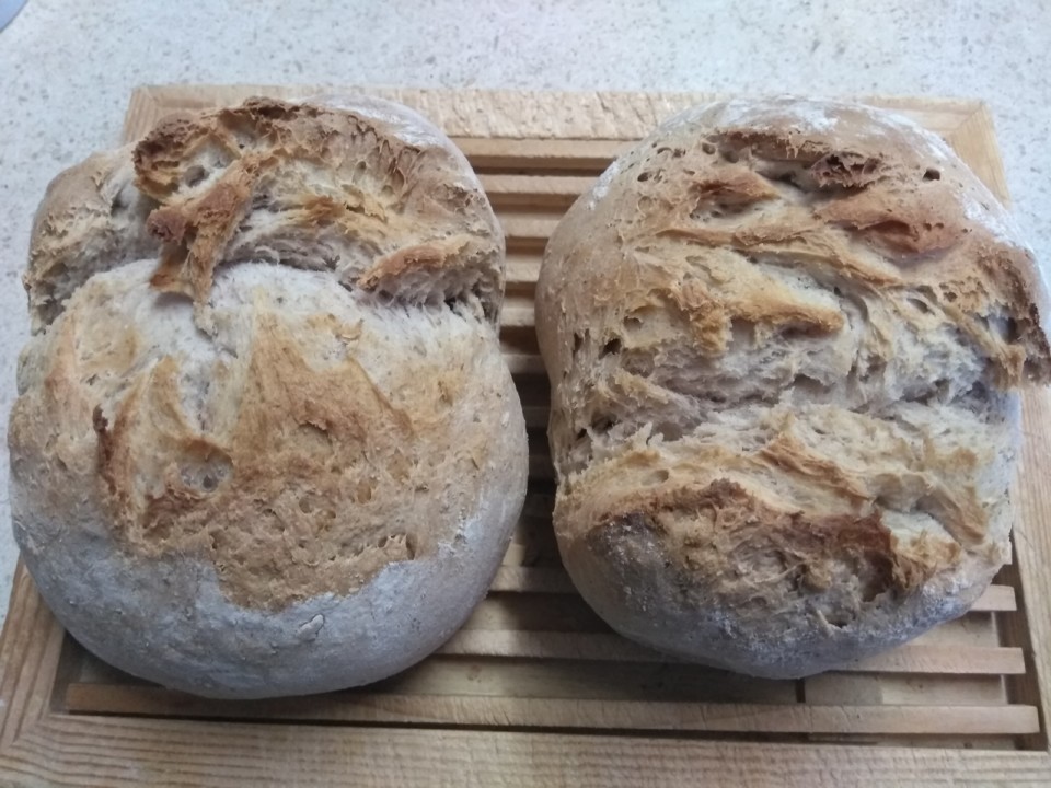 IMG_20200614_182423.jpg IMG_20200614_182423.jpg