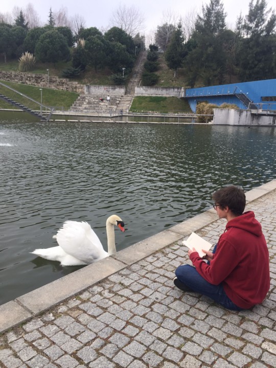 Pedro Barata_Diana Gregório_12A_4.jpeg