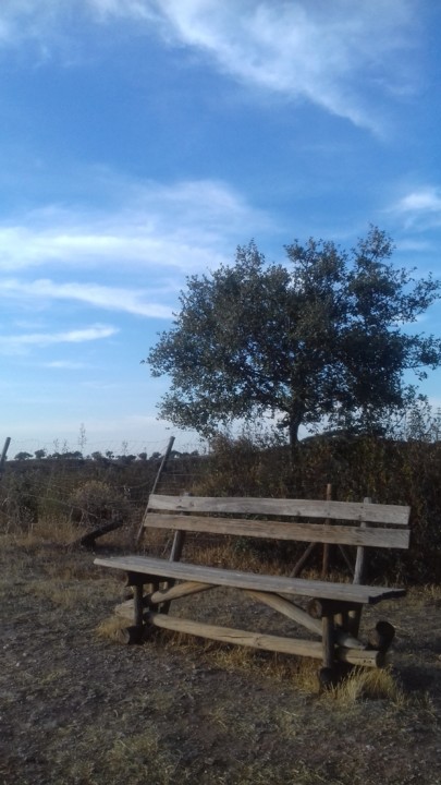 20190709_195149.jpg 20190709_195149.jpg