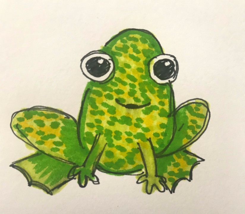 Sapo-Matilde Aveiro.jpg