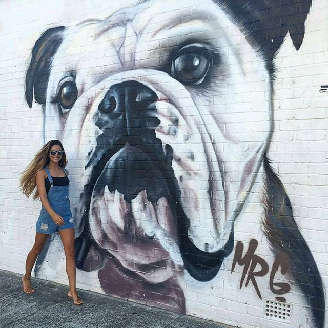 46272972_350656418846875_6526272636568270120_n.jpg 46272972_350656418846875_6526272636568270120_n.jpg