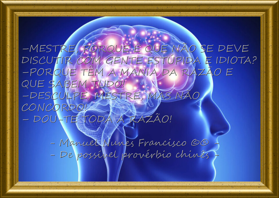 Estúpidos e idiotas....jpg